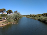 wass-wasser (4)